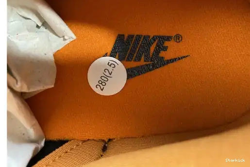 Dunk (2020) Low Nike Ceramic DA1469-001 0522